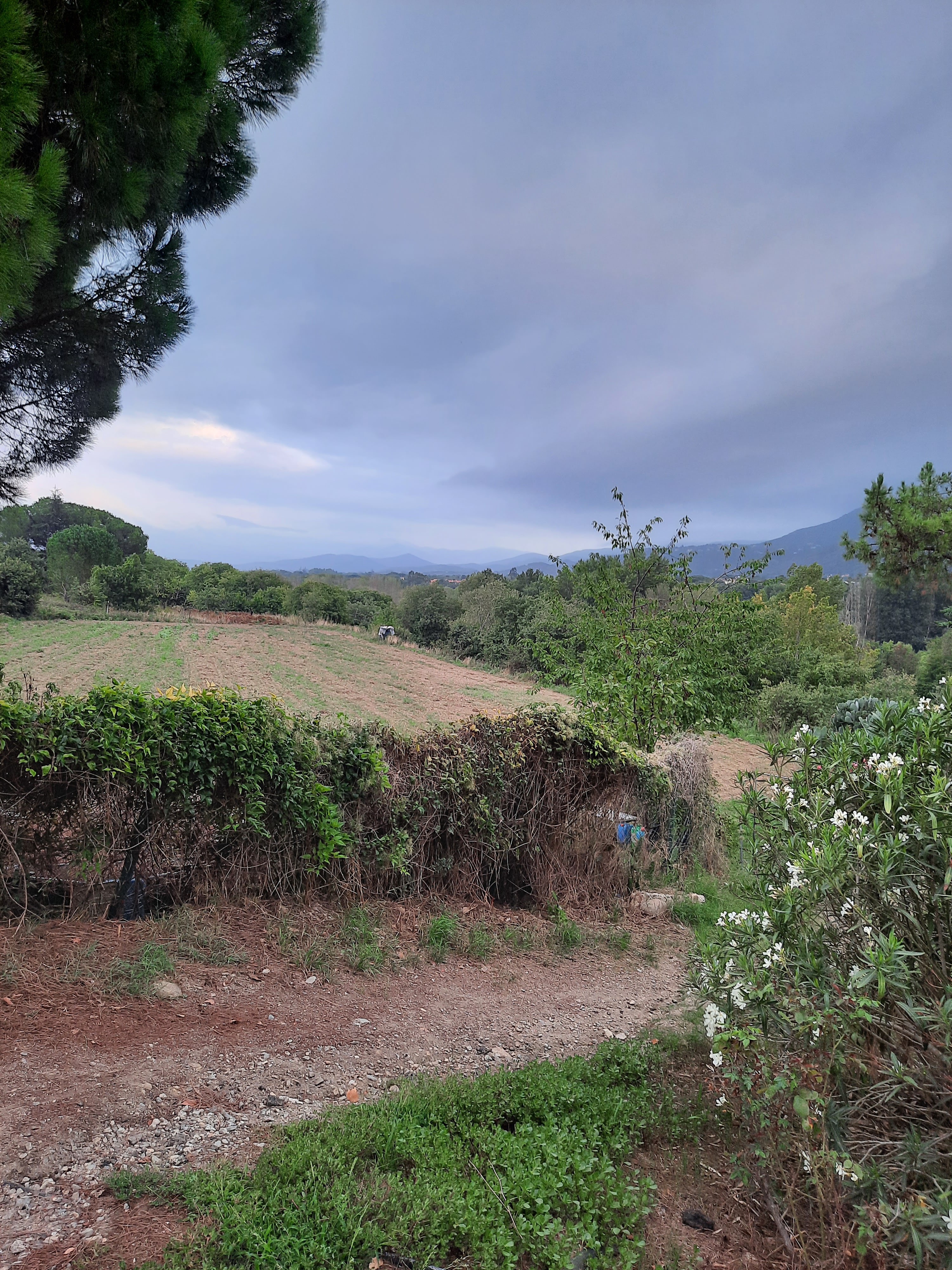 Photo n° 8 de l'avis de Madame.a fait le 15/09/2021 à 18:33