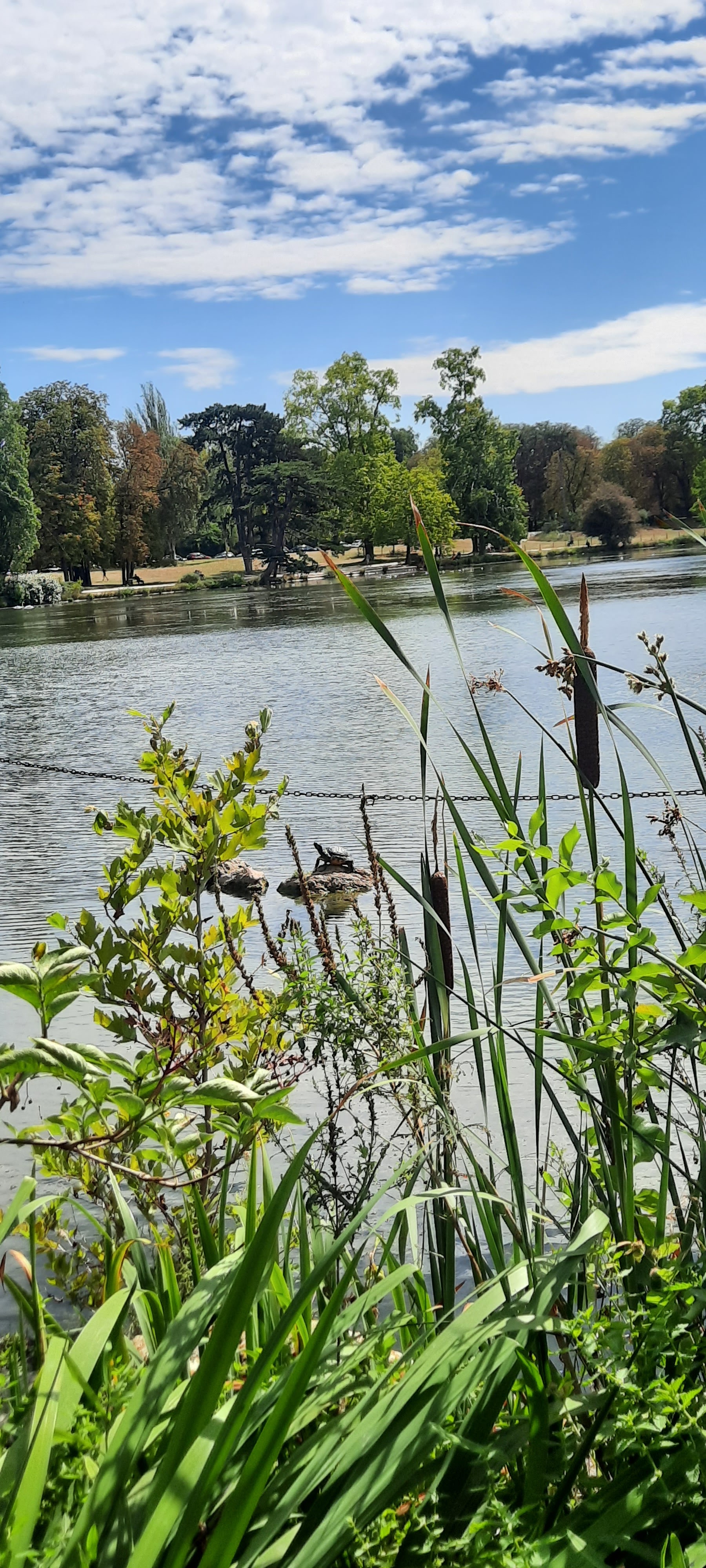 Photo n° 4 de l'avis de Val.r fait le 24/08/2020 à 15:09