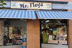 Mr Floyd image