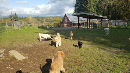 Mountain View Dog Ranch