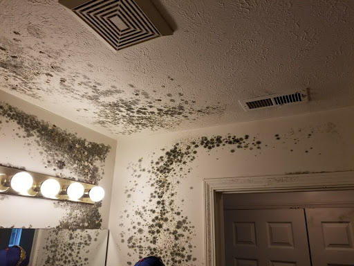 Fire Damage Restoration Service «Fire and Flood Recovery Inc.», reviews and photos, 721 N Webster St, Kokomo, IN 46901, USA