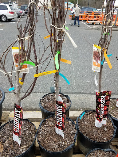 Home Improvement Store «The Home Depot», reviews and photos, 401 S Main St, Milltown, NJ 08850, USA