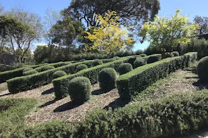 The Cutting Hedge Landscaping and Garden Design image