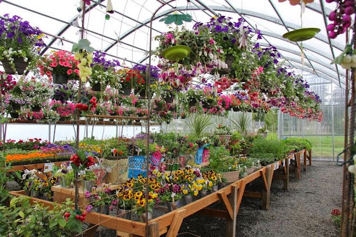 Winery «Rainier View Winery and Nursery», reviews and photos, 12314 264th St E, Graham, WA 98338, USA