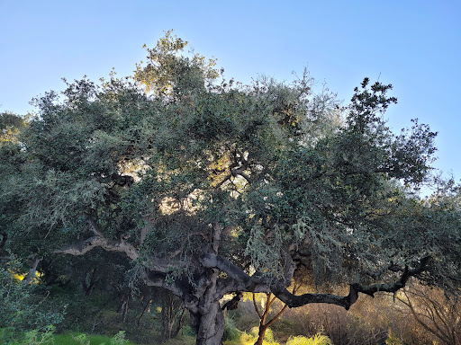 Park «Chumash Park», reviews and photos, Mankins Ranch Rd, Pismo Beach, CA 93449, USA