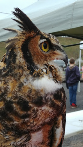 Pet Supply Store «Higbie Farm Supplies Inc», reviews and photos, 3440 Union St, North Chili, NY 14514, USA