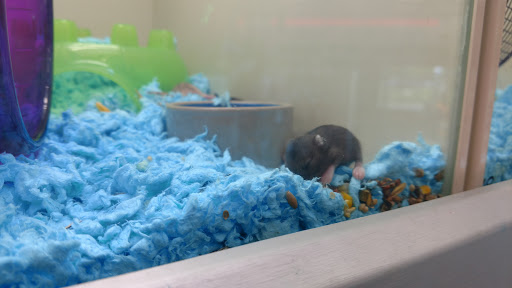 Pet Supply Store «PetKraze», reviews and photos, 100 Independent Way, Brewster, NY 10509, USA