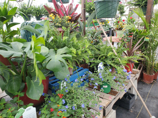 Garden Center «Beachside Gardens & Gifts», reviews and photos, 3725 US-12, Michigan City, IN 46360, USA