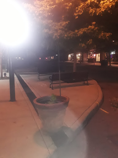 Beer Store «Weinhaus», reviews and photos, 86 Patton Ave, Asheville, NC 28801, USA