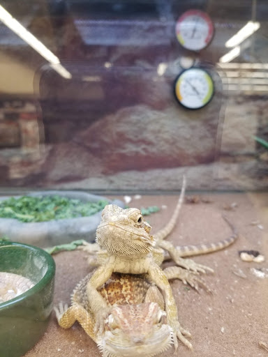 Pet Supply Store «Petco Animal Supplies», reviews and photos, 1019 Cochrane Rd, Morgan Hill, CA 95037, USA