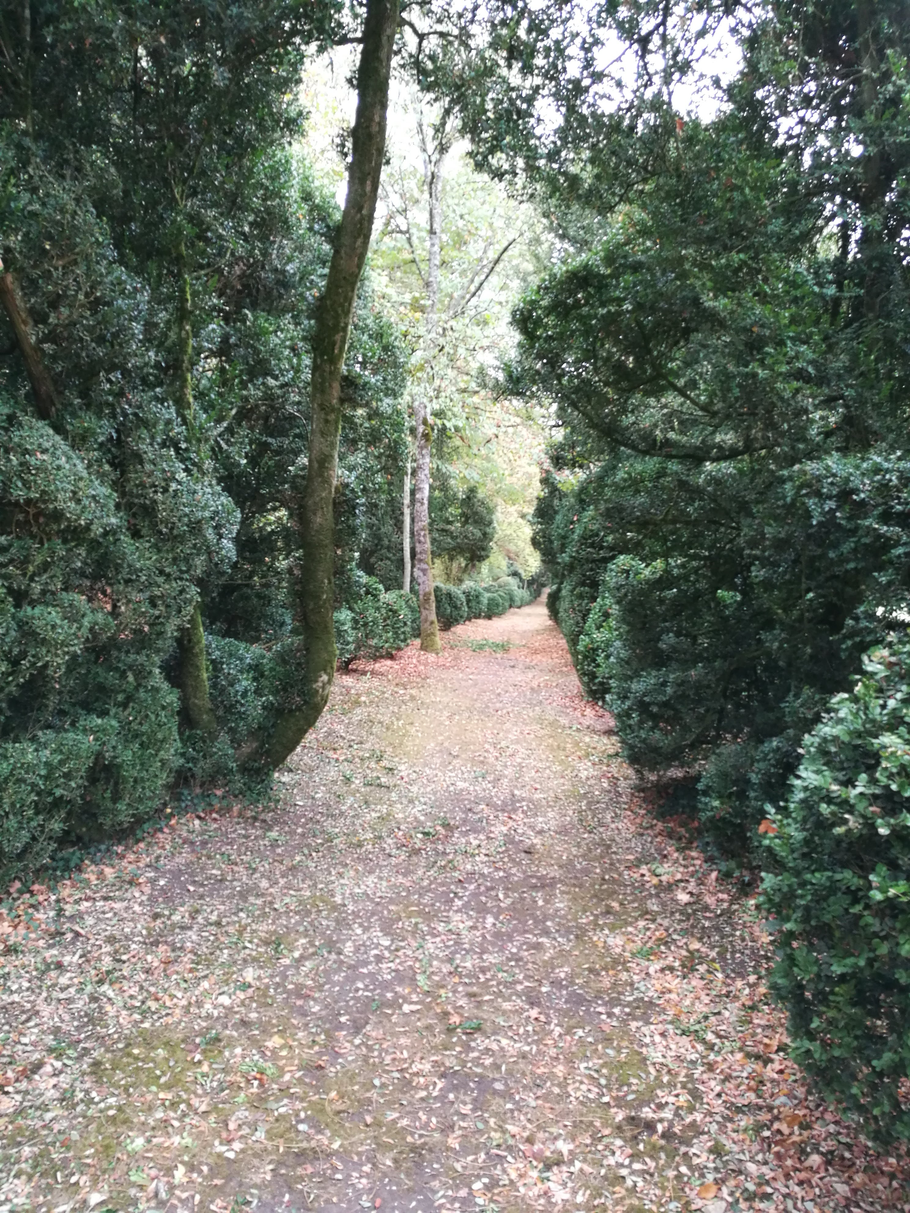 Photo n° 4 de l'avis de Johanna.o fait le 26/10/2018 à 16:13
