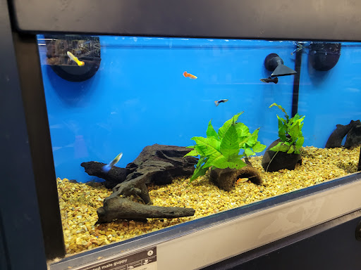 Pet Supply Store «Petco Animal Supplies», reviews and photos, 179 N Milwaukee St, Boise, ID 83704, USA