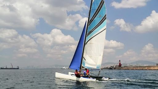 Pearl Sailing
