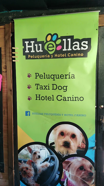 Peluqueria Y Hotel Canino Huellas