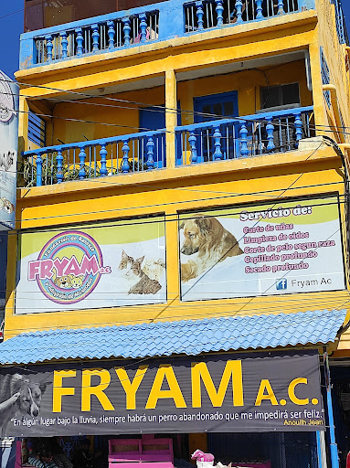 Fryam