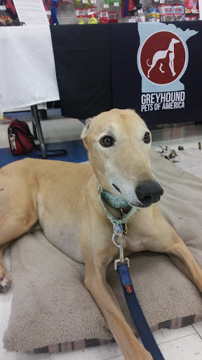 Pet Supply Store «Petco Animal Supplies», reviews and photos, 2277 Ford Pkwy, St Paul, MN 55116, USA