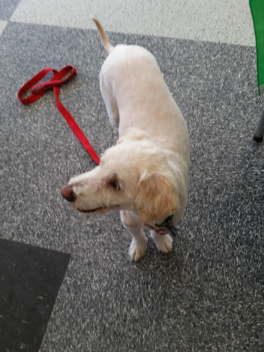 Pet Supply Store «Petco Animal Supplies», reviews and photos, 10060 US Highway 40 G-150, Ellicott City, MD 21042, USA