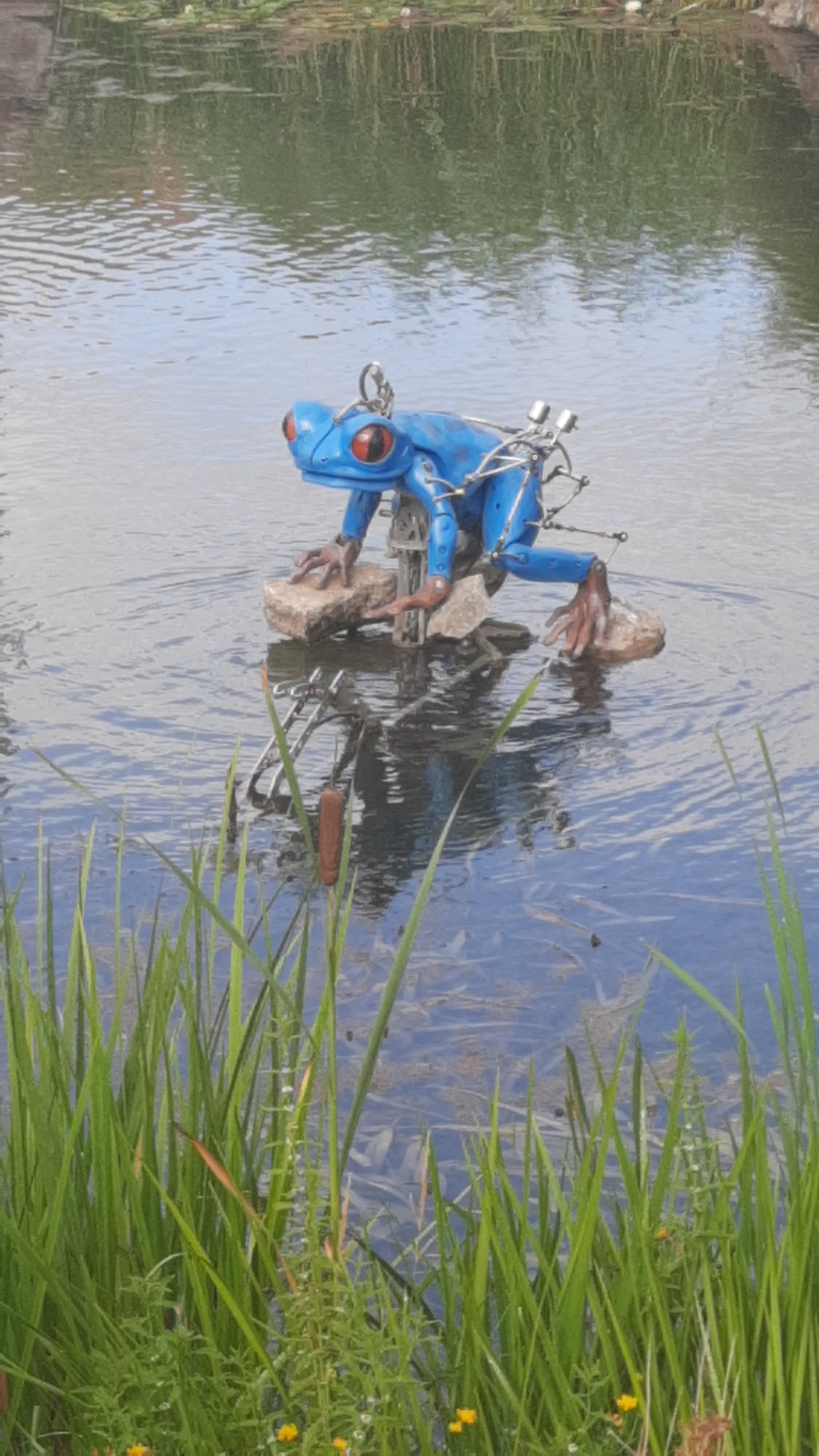 Photo n° 8 de l'avis de Snext-ylo. fait le 19/08/2021 à 17:10