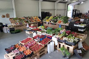Zöldség-gyümölcs kis és nagykereskedés Siófok image