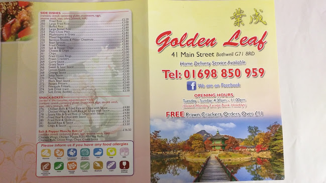 Comments and reviews of Golden Leaf Chinese Takeaway - Bothwell