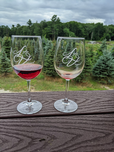 Winery «Leyden Farm Vineyard & Winery», reviews and photos, 160 Plain Meeting House Rd, West Greenwich, RI 02817, USA