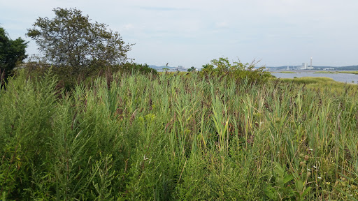 Nature Preserve «Sandy Point Bird Sanctuary», reviews and photos, Beach St, West Haven, CT 06516, USA