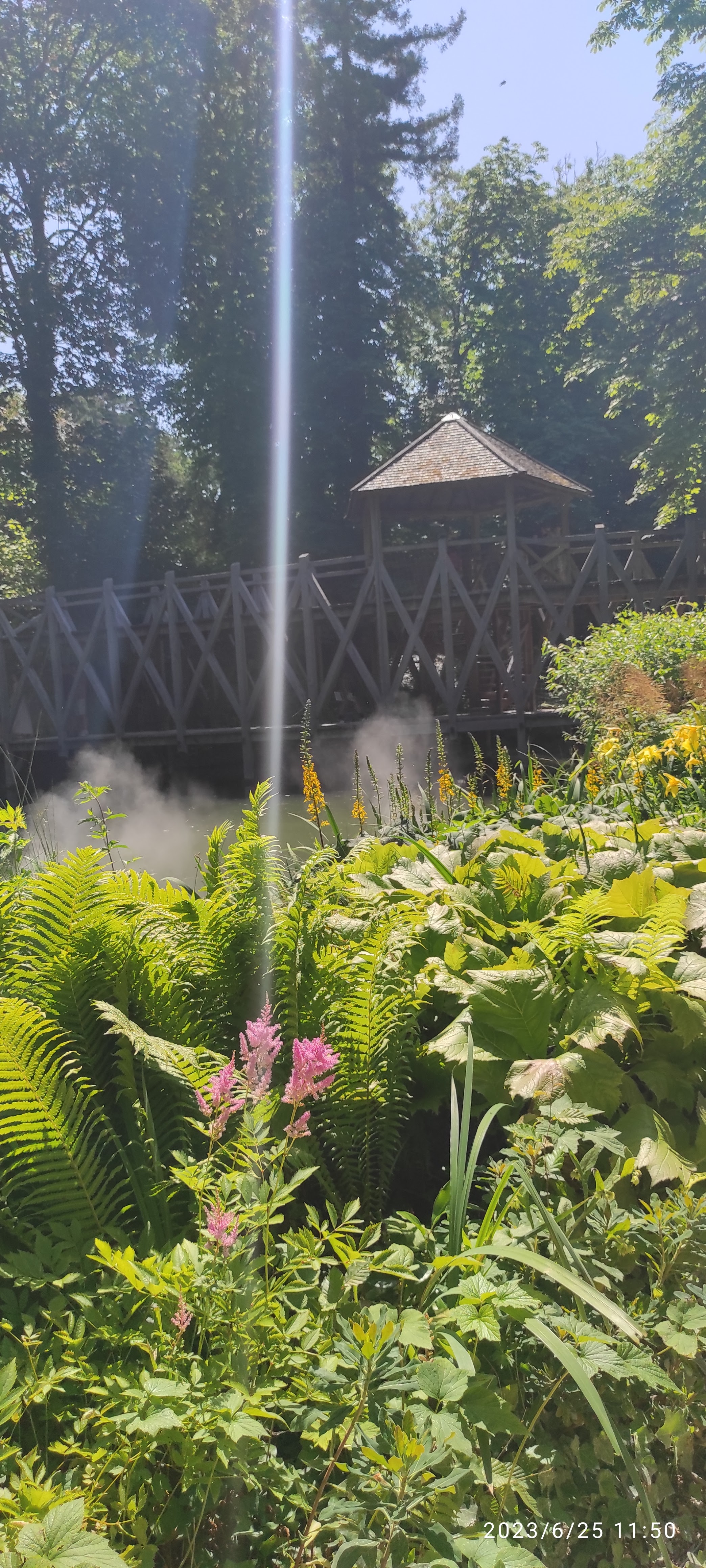 Photo n° 5 de l'avis de Helene.r fait le 25/06/2023 à 10:56