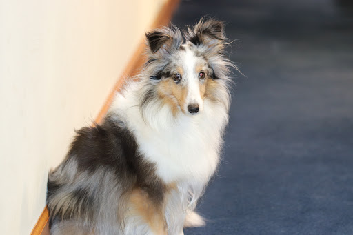 Jeweler «Innsbruck Jewelers», reviews and photos, 2030 Silver Lake Rd NW, New Brighton, MN 55112, USA