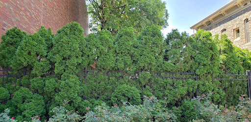 Personal Injury Attorney «McKenzie & Snyder LLP.», reviews and photos