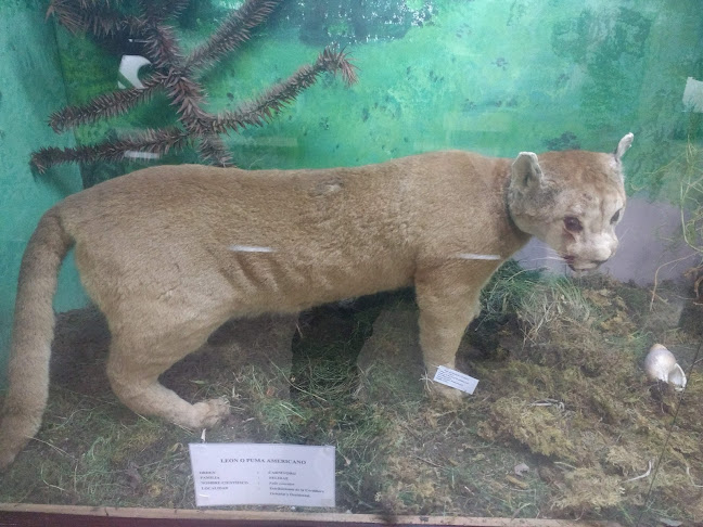 Opiniones de Museo del Colegio Nacional Bolivar en Ambato - Museo