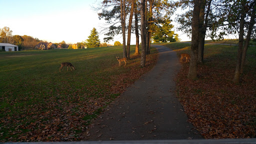Golf Course «Eagle Creek Golf Course», reviews and photos, 2820 KY-53, La Grange, KY 40031, USA