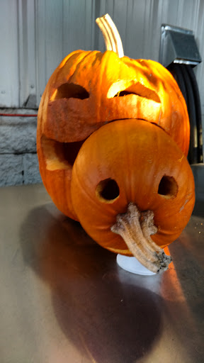 Winery «Noble Estate Vineyard and Winery», reviews and photos, 29210 Gimpl Hill Rd, Eugene, OR 97402, USA