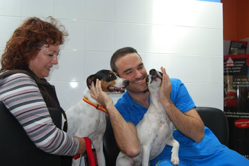 Hospitales y veterinarios de urgencia en Torremolinos de 2024