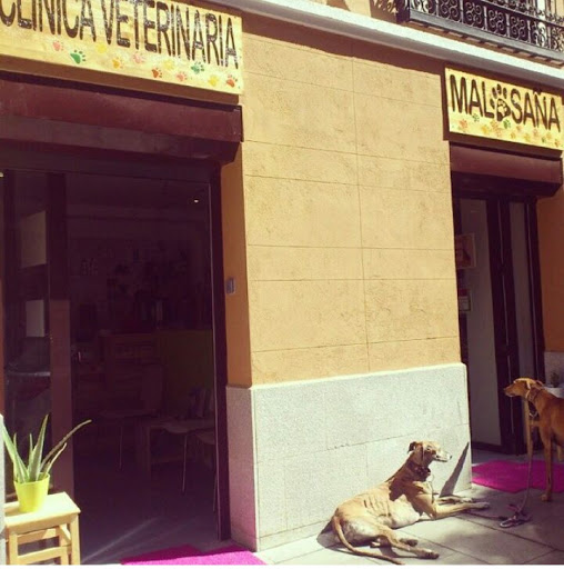 Malasaña Veterinary Clinic