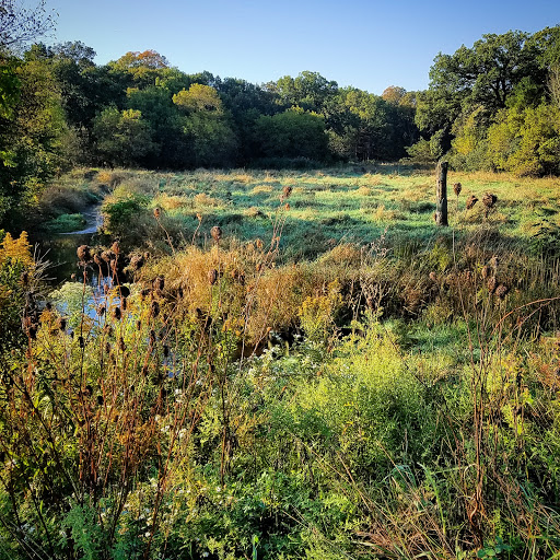 Nature Preserve «Meacham Forest Preserve», reviews and photos, Circle Ave, Bloomingdale, IL 60108, USA