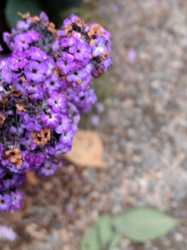 Zoo «Zoomazium», reviews and photos, 601 N 59th St, Seattle, WA 98103, USA