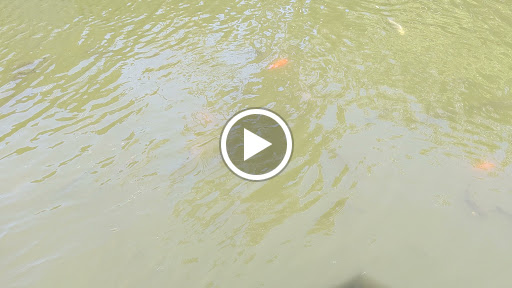 Car Wash «Classic Car Wash», reviews and photos, 981 E Hamilton Ave, Campbell, CA 95008, USA