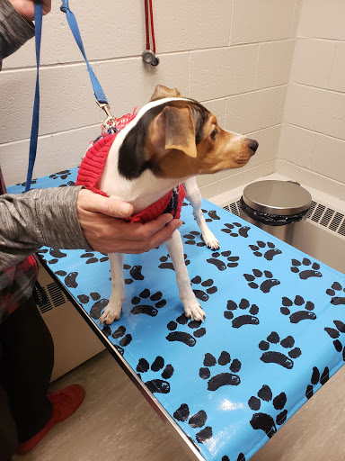 Macleod Trail Animal Hospital