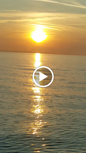 Bait Shop «DB Marine & Outdoor Sports, LLC - Geneva», reviews and photos, 4762 N Broadway, Geneva, OH 44041, USA