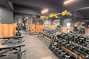 FitVibes Gym image
