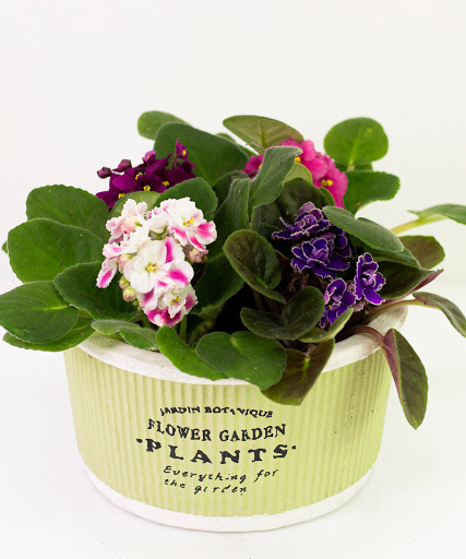 Florist «The Flower Bucket», reviews and photos, 7700 N Lamar Blvd, Austin, TX 78752, USA