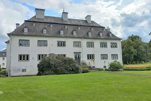 Schloss Laer image