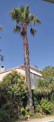 Les Arts-Boristes à Montferrier-sur-Lez