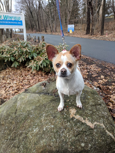 Animal Rescue Foundation