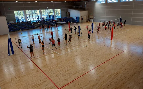 Corso Pallavolo Ragazze image