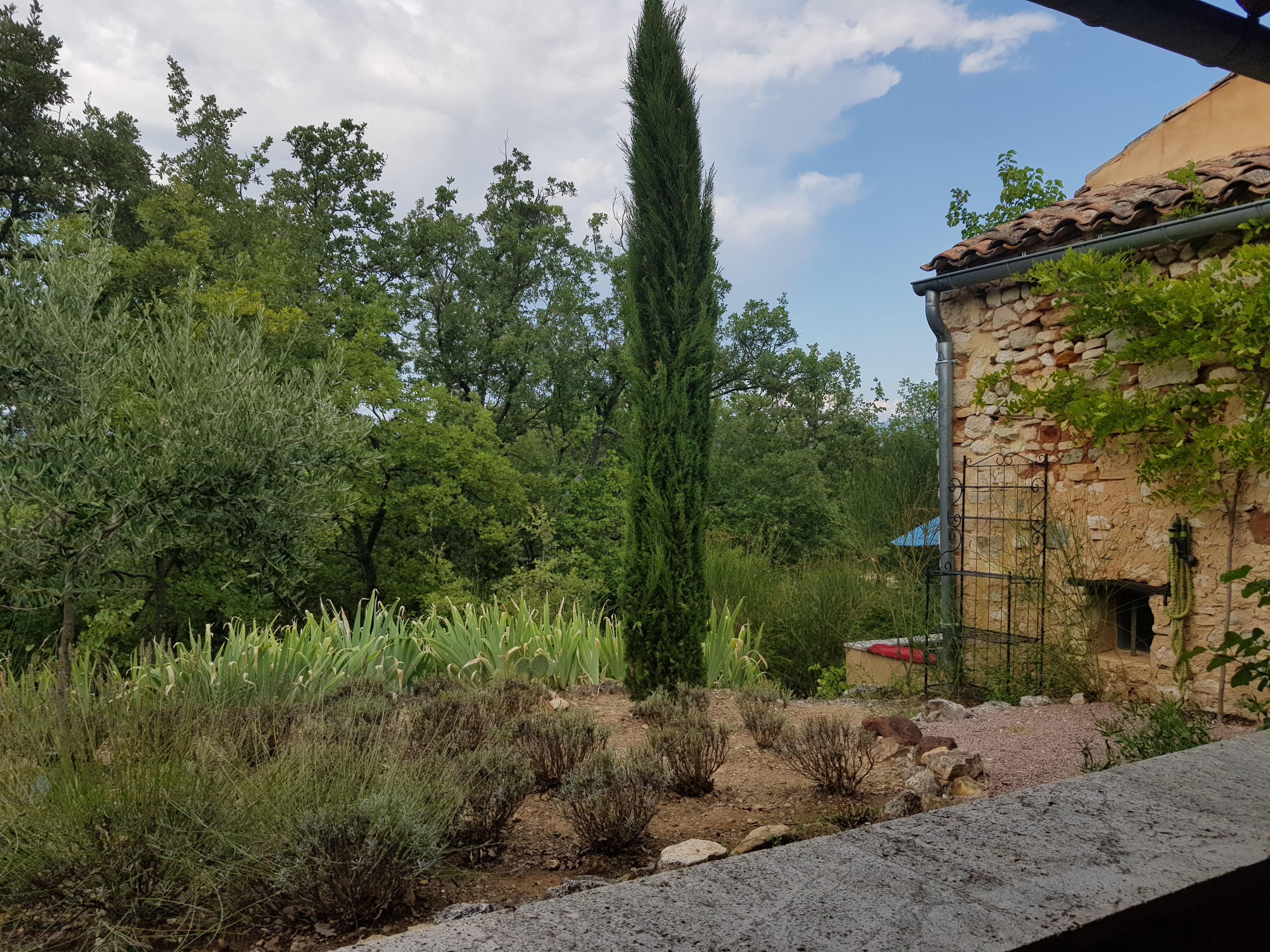 Photo n° 3 de l'avis de Benoit.V fait le 25/08/2018 à 07:21