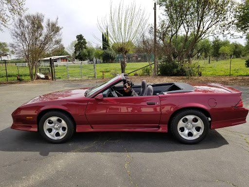 Auto Parts Store «NAPA Auto Parts - The Parts Center», reviews and photos, 217 W Main St, Woodland, CA 95695, USA