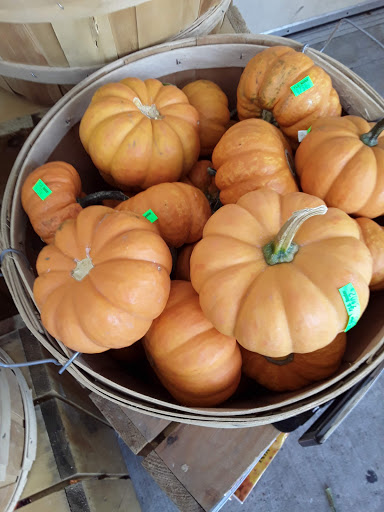 Supermarket «Big Y», reviews and photos, 830 Boston Post Rd, Guilford, CT 06437, USA