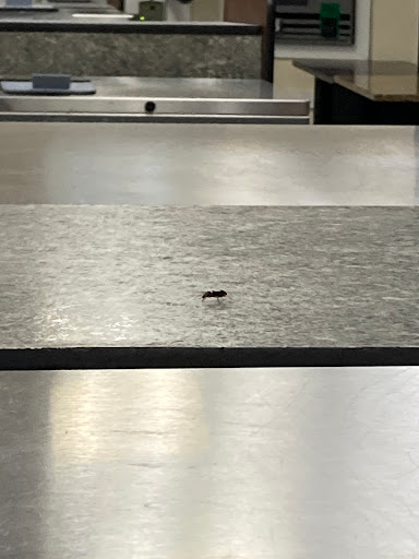 Laundromat «Laundry World Inc», reviews and photos, 3039 Graham Rd, Falls Church, VA 22042, USA