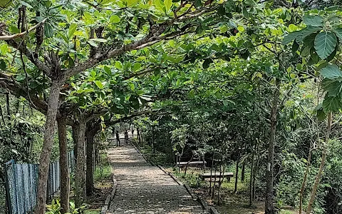 Chitharal Malai Kovil சிதறால் மலைக்கோவில் image